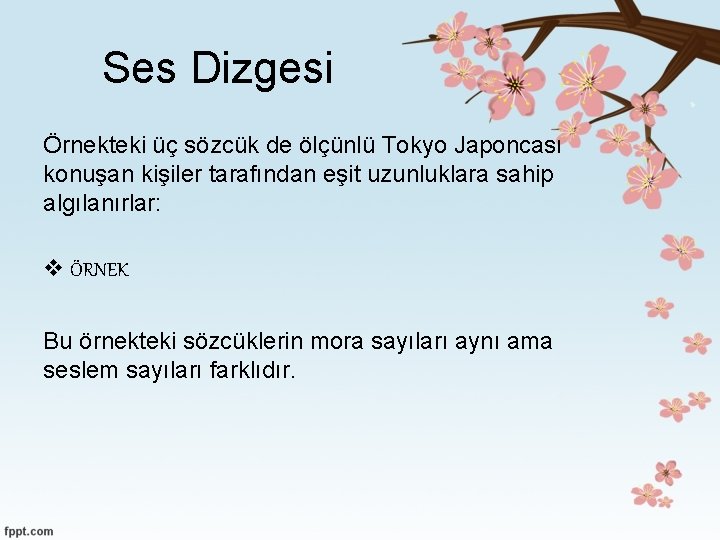 Ses Dizgesi Örnekteki üç sözcük de ölçünlü Tokyo Japoncası konuşan kişiler tarafından eşit uzunluklara