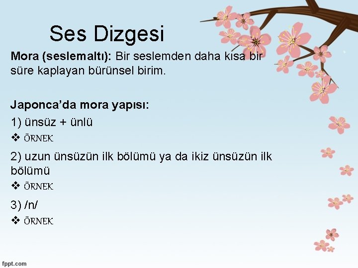 Ses Dizgesi Mora (seslemaltı): Bir seslemden daha kısa bir süre kaplayan bürünsel birim. Japonca’da