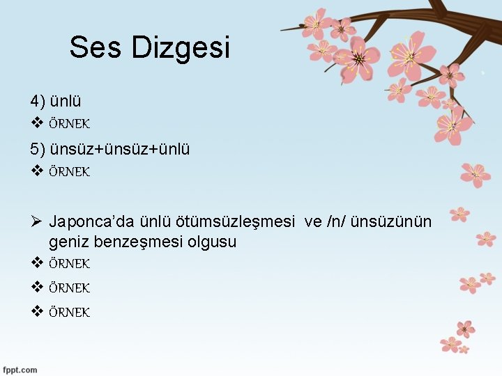 Ses Dizgesi 4) ünlü v ÖRNEK 5) ünsüz+ünlü v ÖRNEK Ø Japonca’da ünlü ötümsüzleşmesi