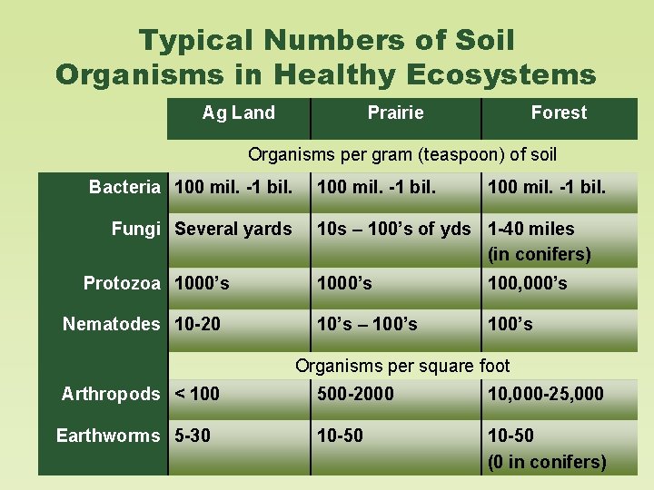 Typical Numbers of Soil Organisms in Healthy Ecosystems Ag Land Prairie Forest Organisms per