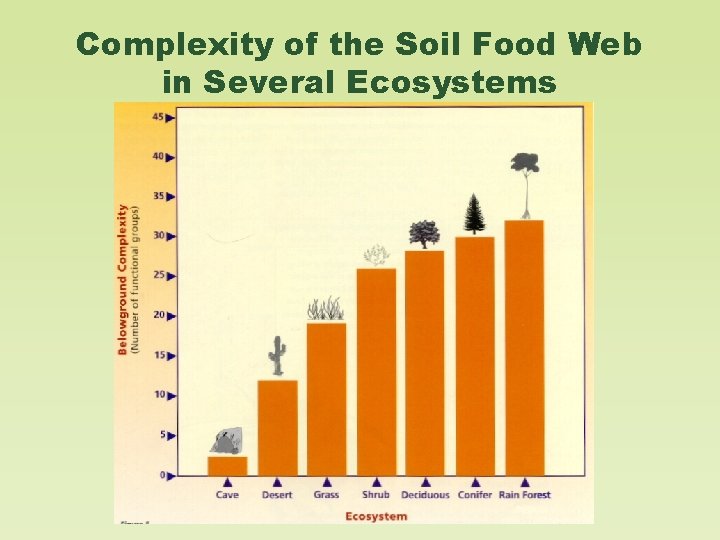 Complexity of the Soil Food Web in Several Ecosystems 