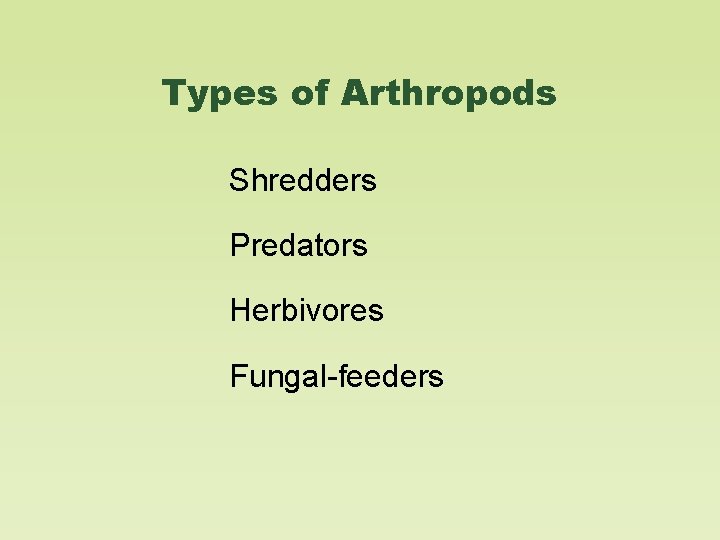 Types of Arthropods Shredders Predators Herbivores Fungal-feeders 