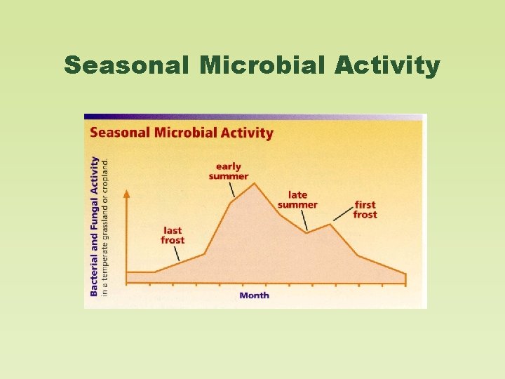 Seasonal Microbial Activity 