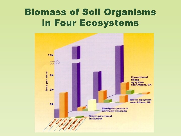 Biomass of Soil Organisms in Four Ecosystems 