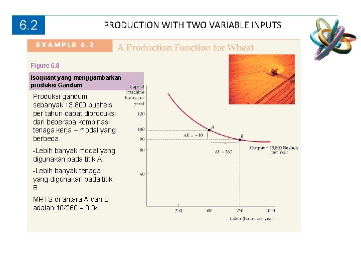 6. 2 PRODUCTION WITH TWO VARIABLE INPUTS Figure 6. 8 Isoquant yang menggambarkan produksi 6. 2 PRODUCTION WITH TWO VARIABLE INPUTS Figure 6. 8 Isoquant yang menggambarkan produksi