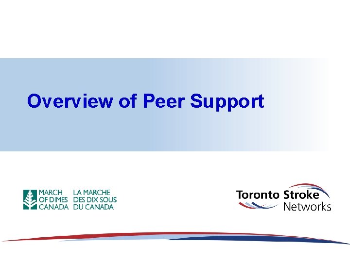 Overview of Peer Support 