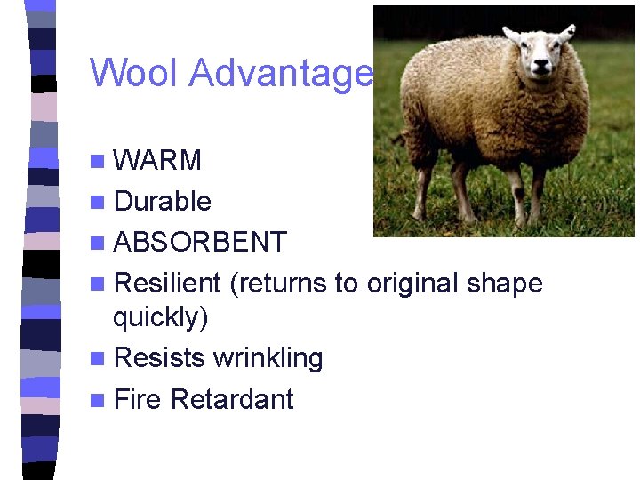 Wool Advantages n WARM n Durable n ABSORBENT n Resilient (returns to original shape