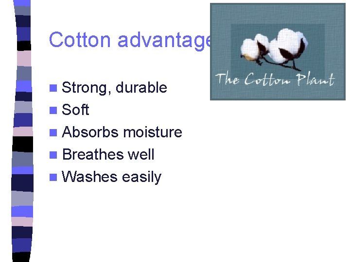 Cotton advantages n Strong, durable n Soft n Absorbs moisture n Breathes well n