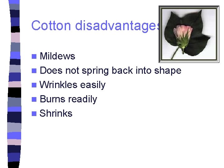 Cotton disadvantages n Mildews n Does not spring back into shape n Wrinkles easily