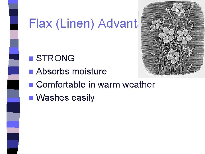 Flax (Linen) Advantages n STRONG n Absorbs moisture n Comfortable in warm weather n