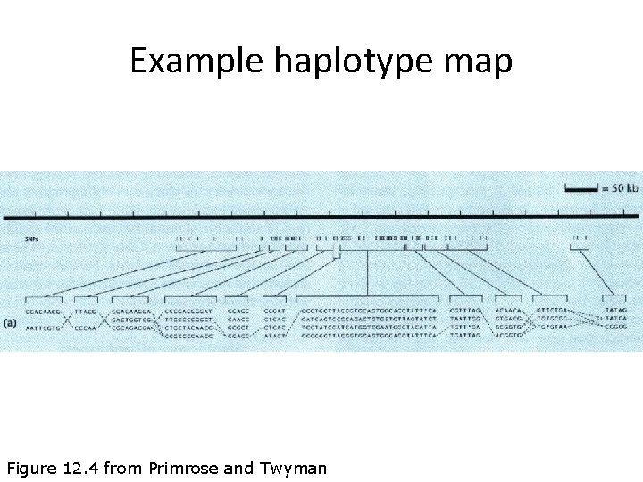 Example haplotype map Figure 12. 4 from Primrose and Twyman 