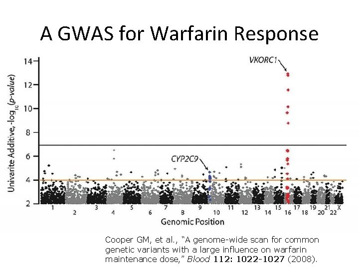 A GWAS for Warfarin Response Cooper GM, et al. , “A genome-wide scan for