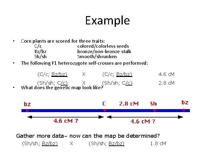 Example • • • Corn plants are scored for three traits: C/c colored/colorless seeds
