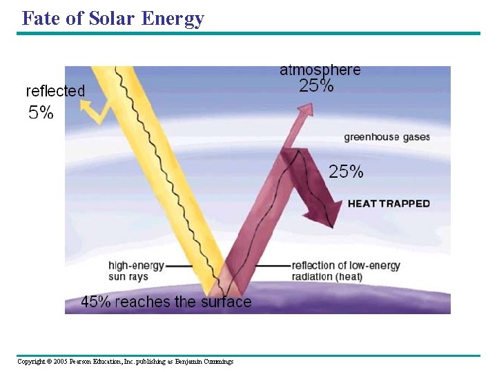 Fate of Solar Energy Copyright © 2005 Pearson Education, Inc. publishing as Benjamin Cummings