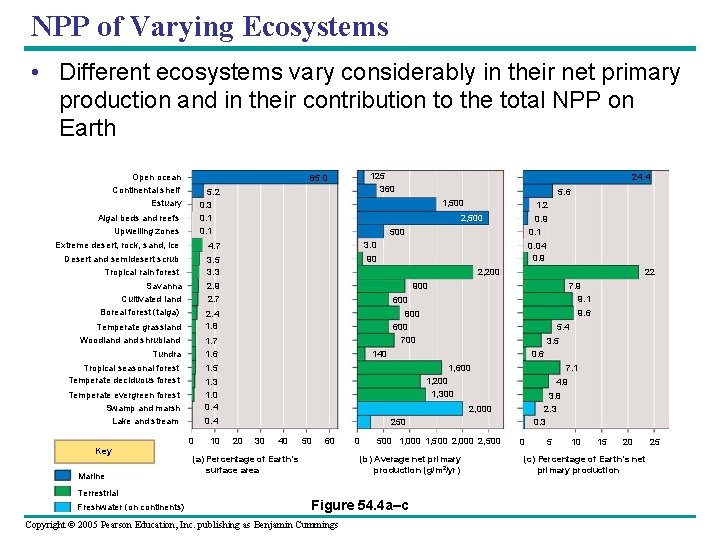 NPP of Varying Ecosystems • Different ecosystems vary considerably in their net primary production