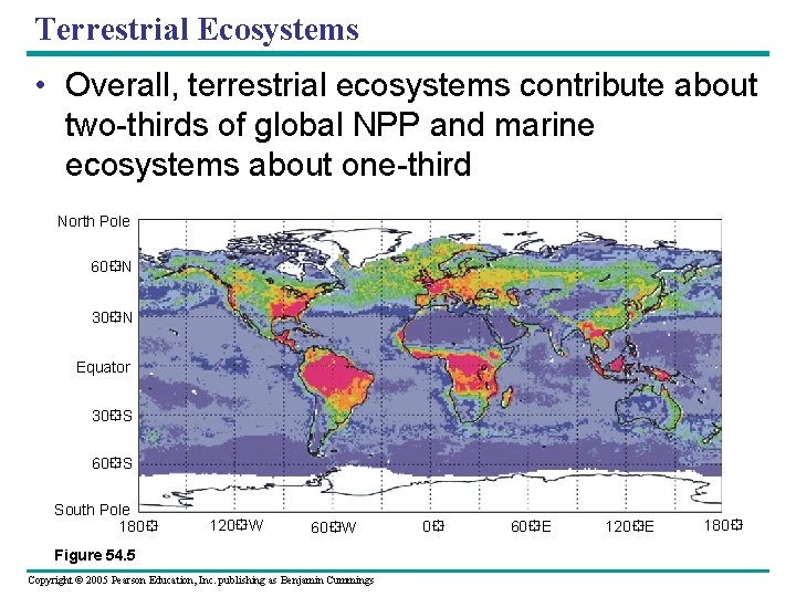 Terrestrial Ecosystems • Overall, terrestrial ecosystems contribute about two-thirds of global NPP and marine