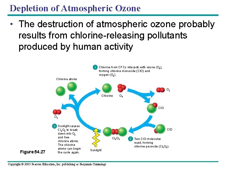 Depletion of Atmospheric Ozone • The destruction of atmospheric ozone probably results from chlorine-releasing