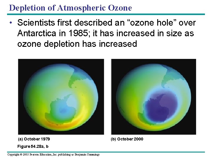 Depletion of Atmospheric Ozone • Scientists first described an “ozone hole” over Antarctica in
