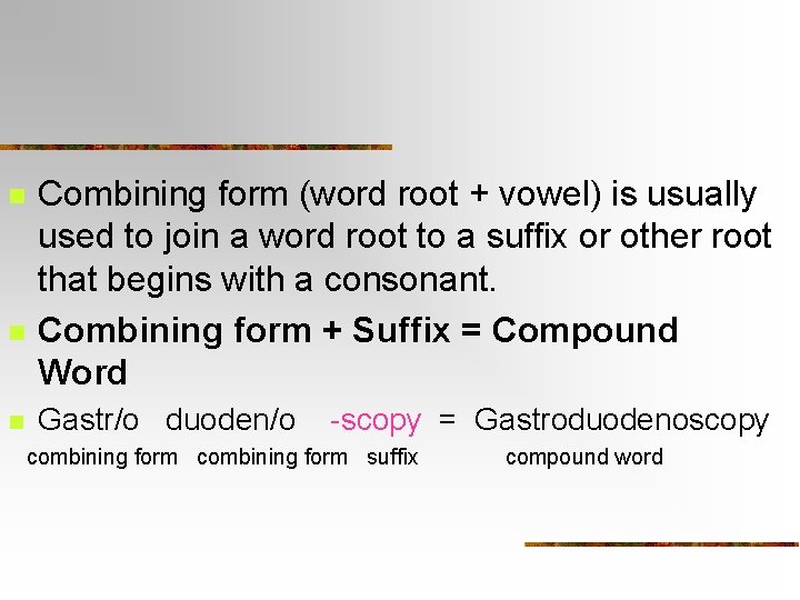 n n n Combining form (word root + vowel) is usually used to join