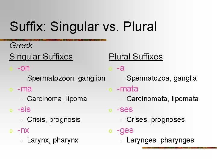Suffix: Singular vs. Plural Greek Singular Suffixes o -on o o o Larynx, pharynx