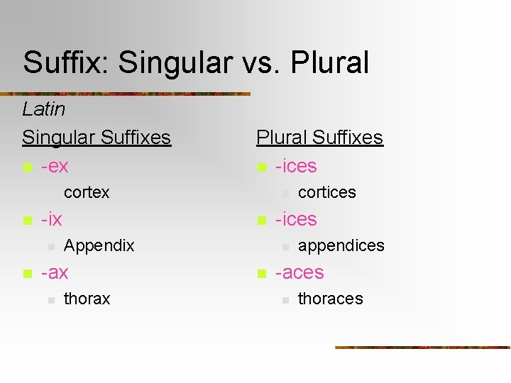 Suffix: Singular vs. Plural Latin Singular Suffixes n -ex n n n cortex -ix