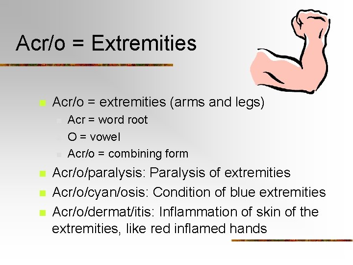 Acr/o = Extremities n Acr/o = extremities (arms and legs) n n n Acr