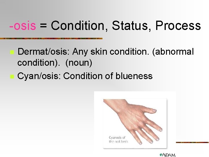 -osis = Condition, Status, Process n n Dermat/osis: Any skin condition. (abnormal condition). (noun)