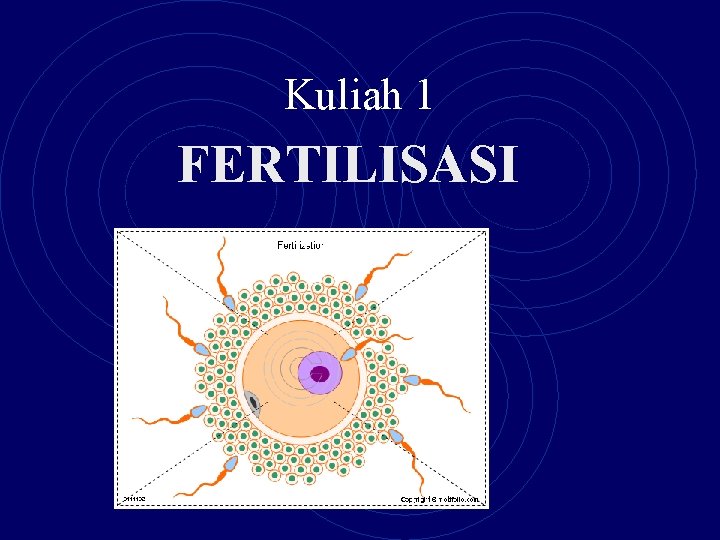 Kuliah 1 FERTILISASI 