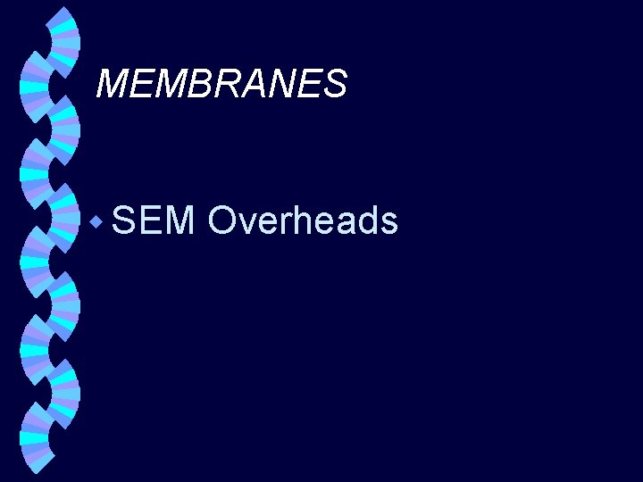 MEMBRANES w SEM Overheads 