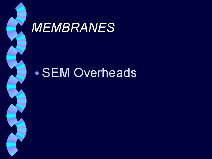MEMBRANES w SEM Overheads 