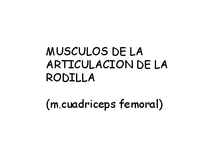 MUSCULOS DE LA ARTICULACION DE LA RODILLA (m. cuadriceps femoral) 