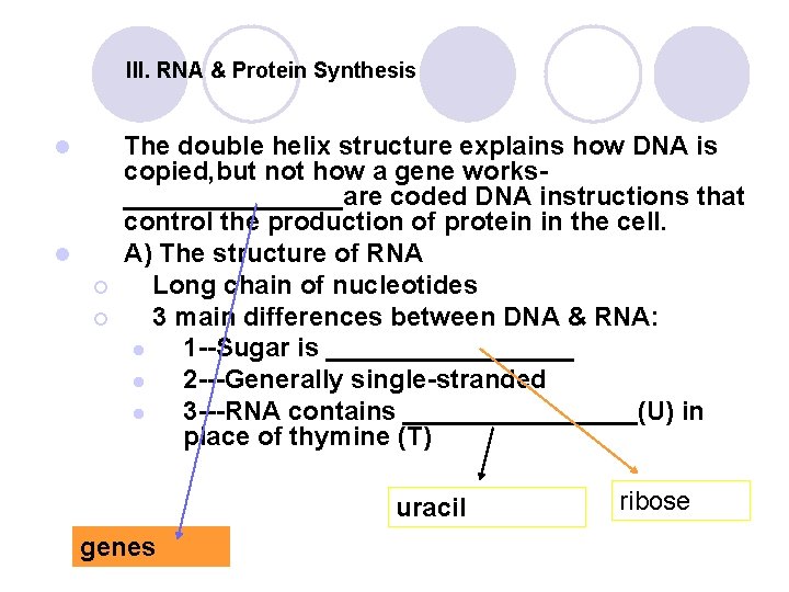 III. RNA & Protein Synthesis l l ¡ ¡ The double helix structure explains