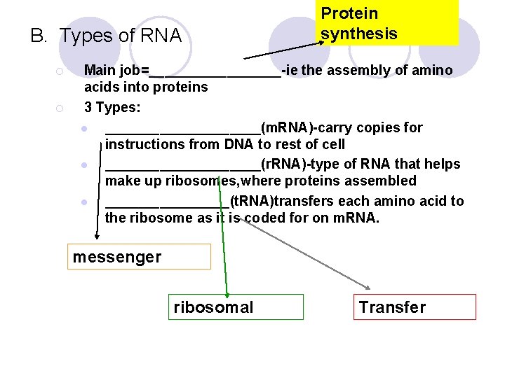 B. Types of RNA ¡ ¡ Protein synthesis Main job=_________-ie the assembly of amino