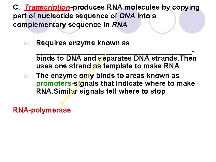 C. Transcription-produces RNA molecules by copying part of nucleotide sequence of DNA into a