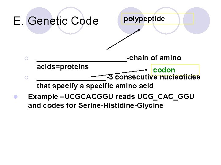 E. Genetic Code polypeptide ___________-chain of amino acids=proteins codon ¡ _________-3 consecutive nucleotides that