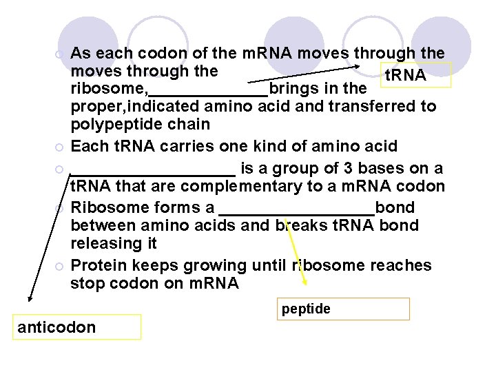 As each codon of the m. RNA moves through the t. RNA ribosome, _______brings