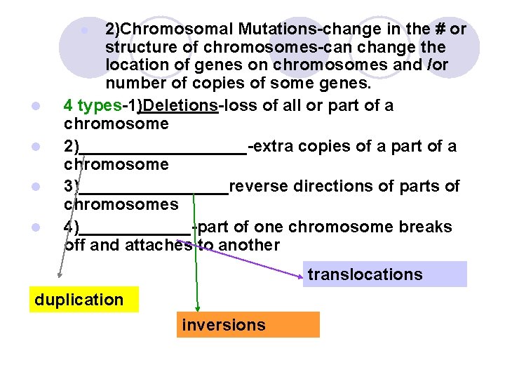 2)Chromosomal Mutations-change in the # or structure of chromosomes-can change the location of genes