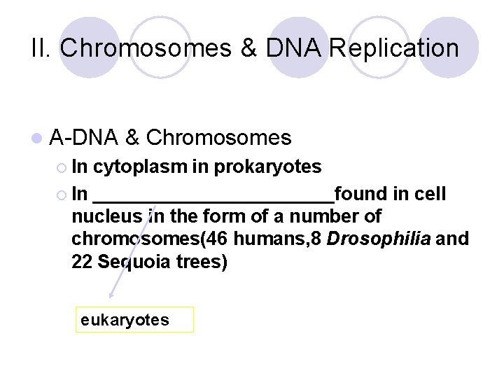 II. Chromosomes & DNA Replication l A-DNA & Chromosomes ¡ In cytoplasm in prokaryotes