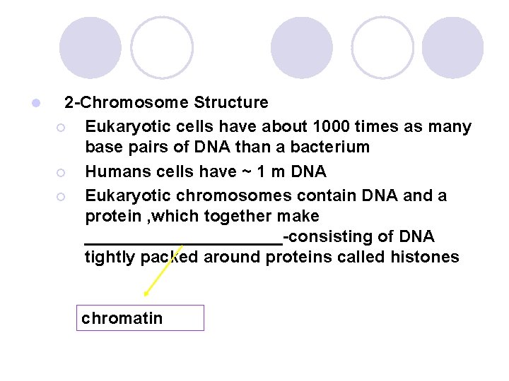 l 2 -Chromosome Structure ¡ Eukaryotic cells have about 1000 times as many base