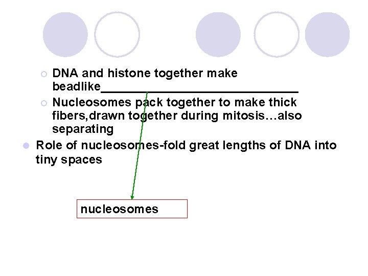 DNA and histone together make beadlike_______________ ¡ Nucleosomes pack together to make thick fibers,