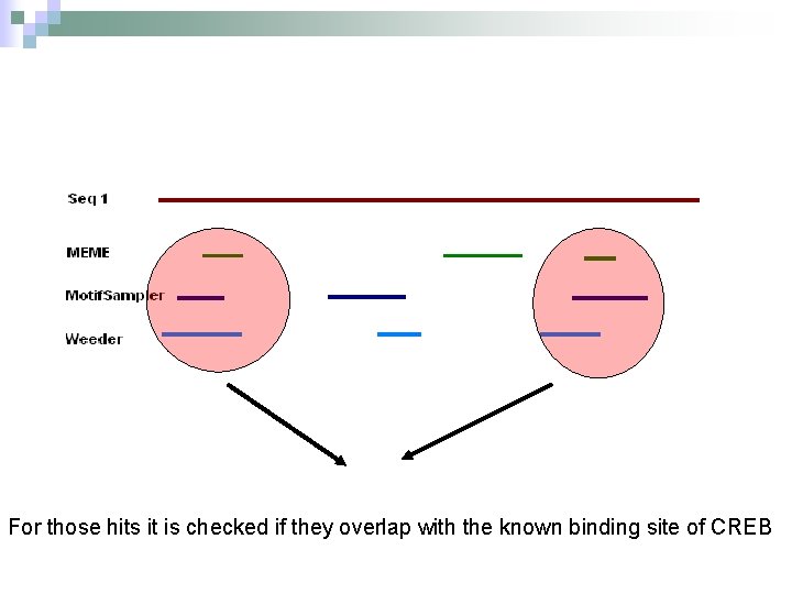 For those hits it is checked if they overlap with the known binding site