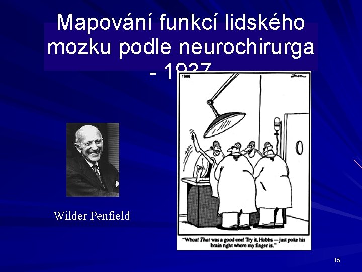 Mapování funkcí lidského mozku podle neurochirurga - 1937 Wilder Penfield 15 