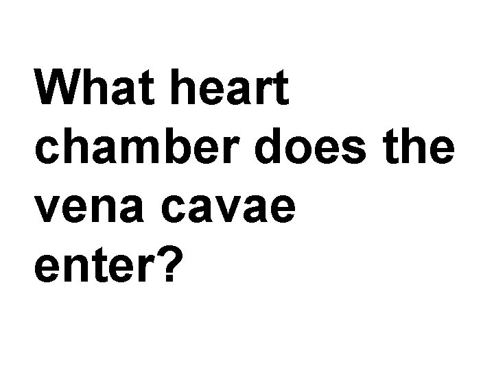 What heart chamber does the vena cavae enter? 