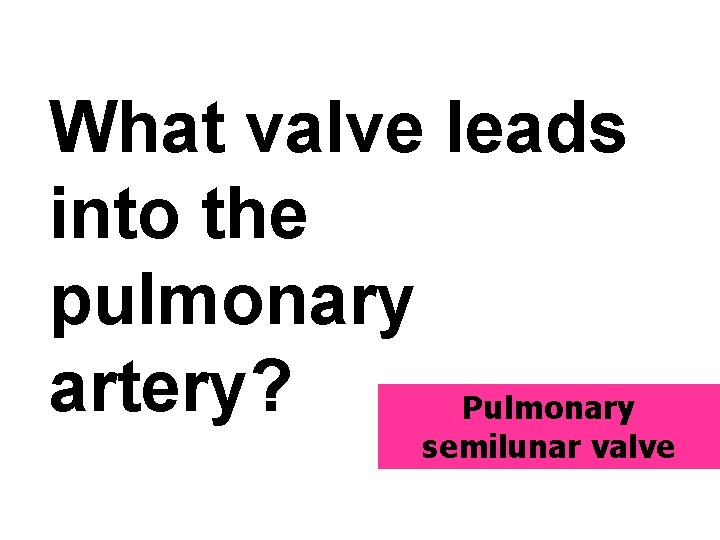 What valve leads into the pulmonary artery? Pulmonary semilunar valve 