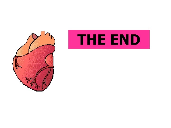 THE END 
