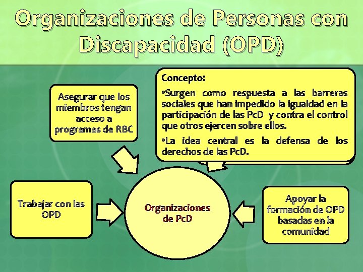 Organizaciones de Personas con Discapacidad (OPD) Asegurar que los miembros tengan acceso a programas