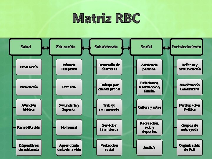 Matriz RBC Salud Educación Subsistencia Social Fortalecimiento Promoción Infancia Temprana Desarrollo de destrezas Asistencia