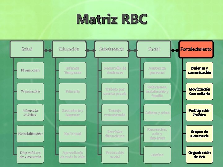 Matriz RBC Salud Educación Subsistencia Social Fortalecimiento Promoción Infancia Temprana Desarrollo de destrezas Asistencia