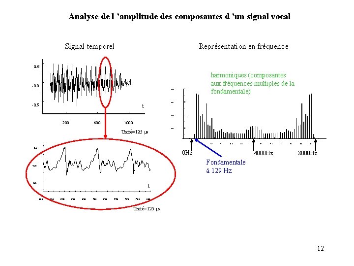 Analyse de l ’amplitude des composantes d ’un signal vocal Signal temporel Représentation en