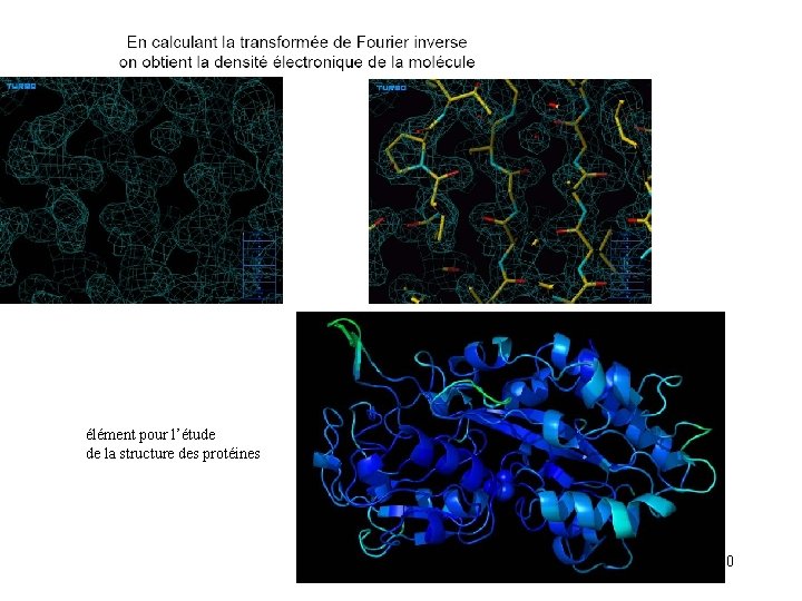 élément pour l’étude de la structure des protéines 50 
